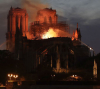 Incendie de Notre-Dame de Paris : donner en confiance pour la reconstruction